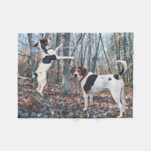 Behandeling Walker Coonhound Dogs Bossen Fleece Bl Deken