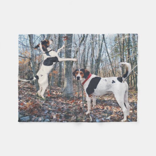 Behandeling Walker Coonhound Dogs Bossen Fleece Bl Deken (Voorkant (Horizontaal))