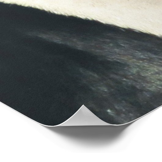 Behandeling Walker Coonhound Snowy Bos Poster (Hoek)