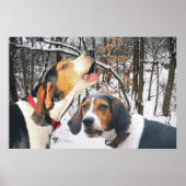 Behandeling Walker Coonhound Snowy Bos Poster (Voorkant)