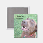 Behandelt NU Magneet (Voorkant / Achterkant)