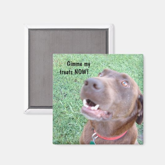 Behandelt NU Magneet (Voorkant / Achterkant)