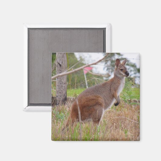 behang magneet (Voorkant / Achterkant)