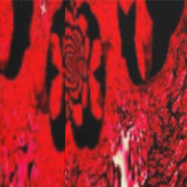 Behang - Zwarte Framboos & Vurige Spiraal (Zoom)