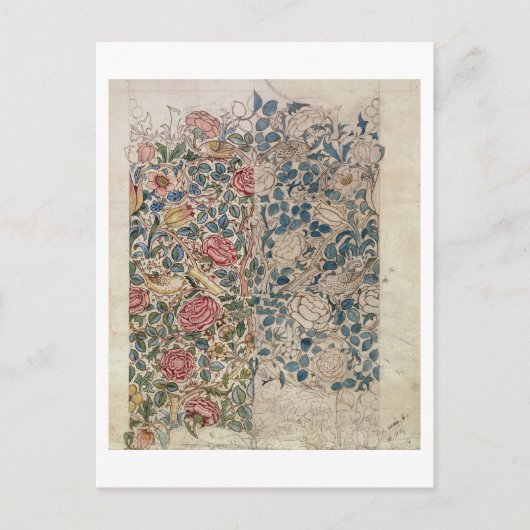 Behangselpapier voor Rozen (potlood en m/c op papi Briefkaart (Voorkant)