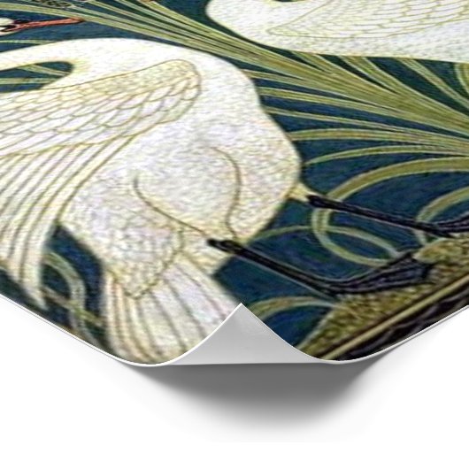 Behangselpapier voor zwaan, Rush en Iris Poster (Hoek)