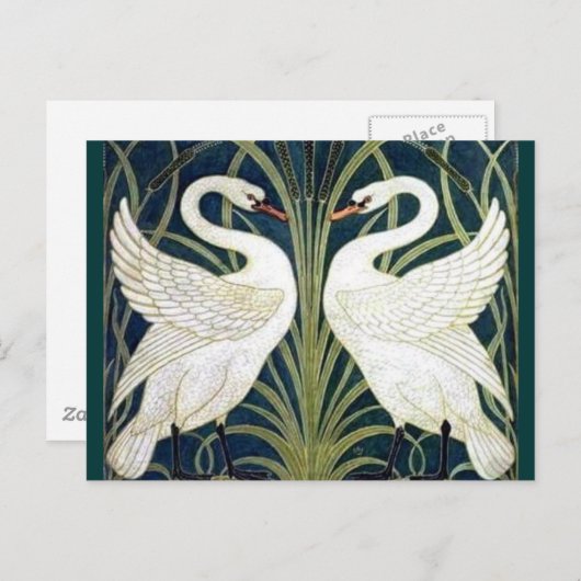 Behangselpapier voor zwaan, Rush en Iris, toegewez Briefkaart (Voorkant / Achterkant)