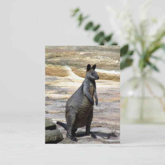 behangselstenen briefkaart (Staand voorkant)