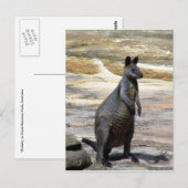 behangselstenen briefkaart (Voorkant / Achterkant)