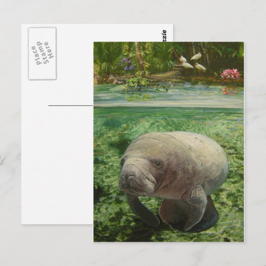 BEHEER BRIEFKAART (Voorkant / Achterkant)