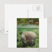 BEHEER BRIEFKAART (Voorkant / Achterkant)