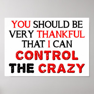 Beheer de Crazy Funny Poster