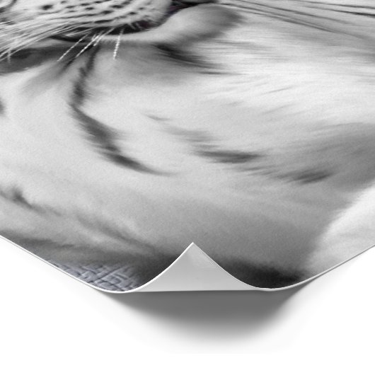 Beheerd Poster (Hoek)