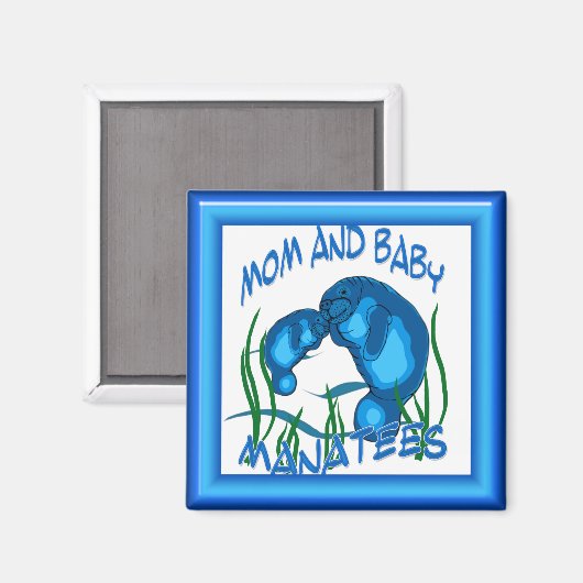 Beheerde magneet (Voorkant / Achterkant)