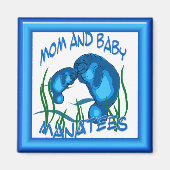 Beheerde magneet (Voorkant)