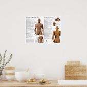 Beheerende Meridiaan Acupunctuurpunten Poster (Keuken)