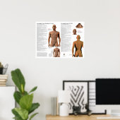 Beheerende Meridiaan Acupunctuurpunten Poster (Thuiskantoor)