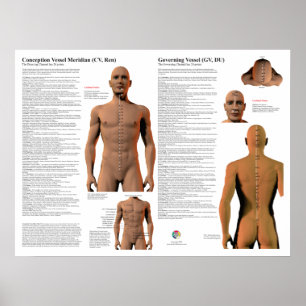 Beheerende Meridiaan Acupunctuurpunten Poster