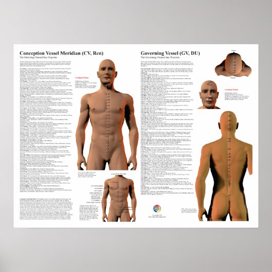 Beheerende Meridiaan Acupunctuurpunten Poster (Voorkant)