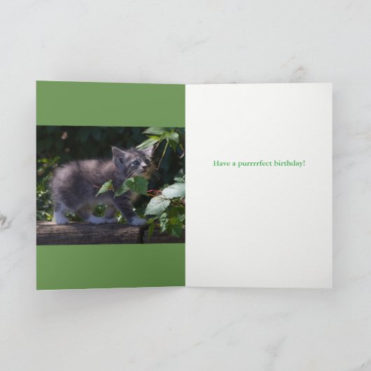 Beheerlijke Kitten Birthday Card Kaart (Binnen)