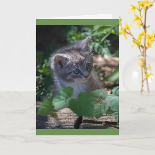 Beheerlijke Kitten Birthday Card Kaart (Gele Bloem)