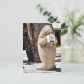 Beheren Mailbox in Florida Foto Briefkaart (Staand voorkant)