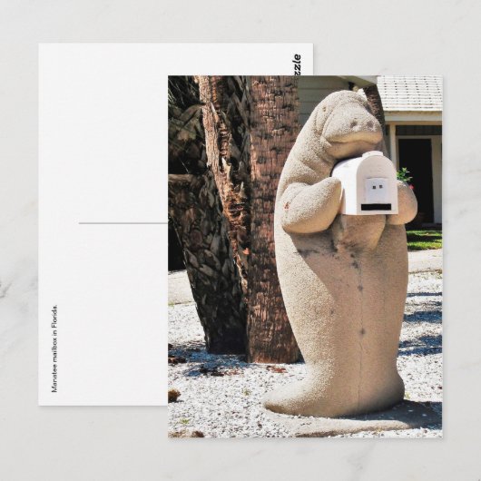 Beheren Mailbox in Florida Foto Briefkaart (Voorkant / Achterkant)