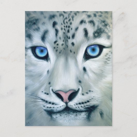 Behind Blue Eyes - Snow Leopard Briefkaart (Voorkant)