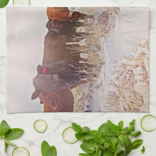 Behold! Cattle Kitchen Towel Theedoek (Gevouwen)