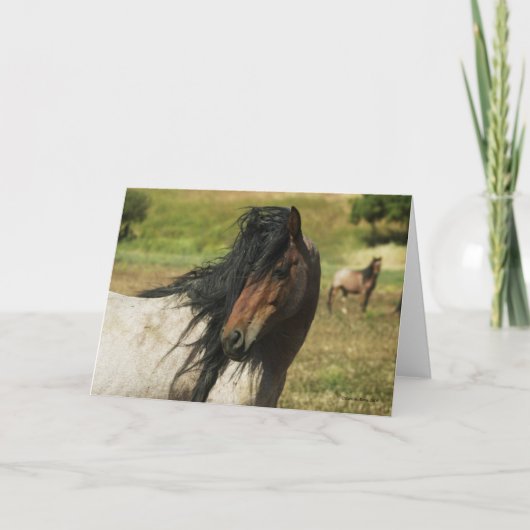 Behold de Schoonheid Kaart (Voorkant)