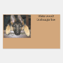 Behoort tot de naam Sticker