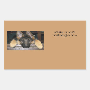 Behoort tot de naam Sticker