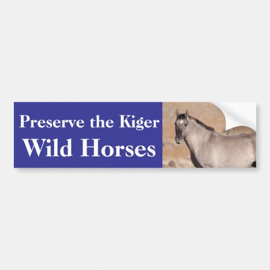 Behoud de Kiger-wilde paarden bumpersticker (Voorkant)