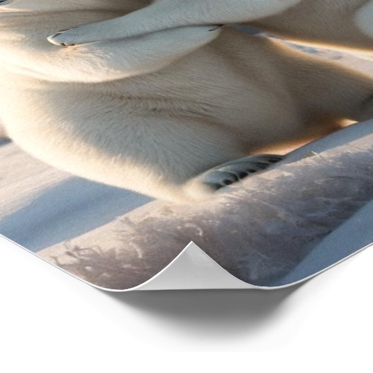 Behoud of ontwerp uw eigen poster (Hoek)