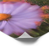 Behoud of ontwerp uw eigen poster (Hoek)