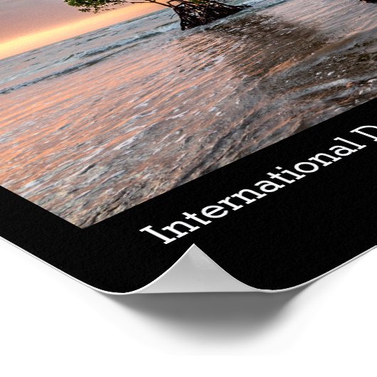 Behoud van de Mangrove, foto Poster (Hoek)