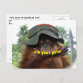 Behoud van palmolie Orangutan Briefkaart (Voorkant / Achterkant)