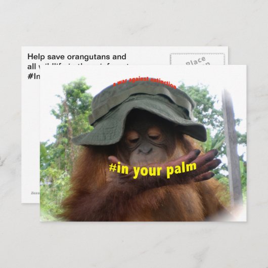 Behoud van palmolie Orangutan Briefkaart (Voorkant / Achterkant)