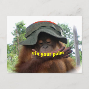 Behoud van palmolie Orangutan Briefkaart