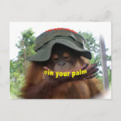 Behoud van palmolie Orangutan Briefkaart (Voorkant)