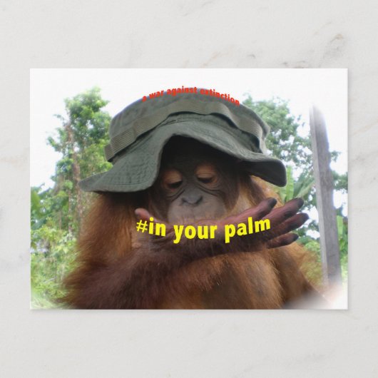 Behoud van palmolie Orangutan Briefkaart (Voorkant)