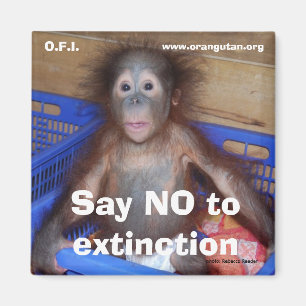 Behoud van wilde dieren opslaan magneet