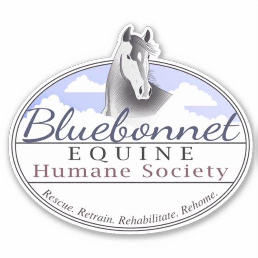 BEHS LOGO STICKER (Voorkant)