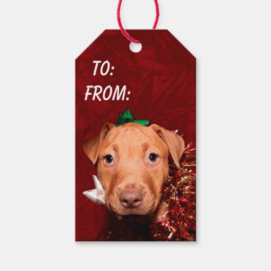 Behulpzaam puppy kerst cadeaulabel (Voorkant)
