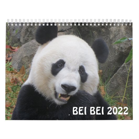 Bei Bei 2022 Agenda Kalender (Hoes)