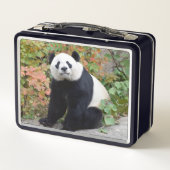 Bei Bei Giant Panda Lunchbox (Achterkant)