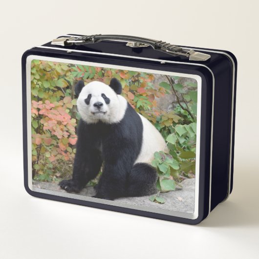 Bei Bei Giant Panda Lunchbox (Achterkant)