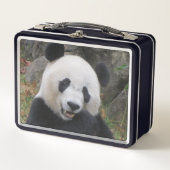 Bei Bei Giant Panda Lunchbox (Voorkant)
