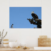 BEIAM Bald Eagle Ignores a Magpie Poster (Keuken)