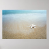 Beidaihe Seascape Poster (Voorkant)